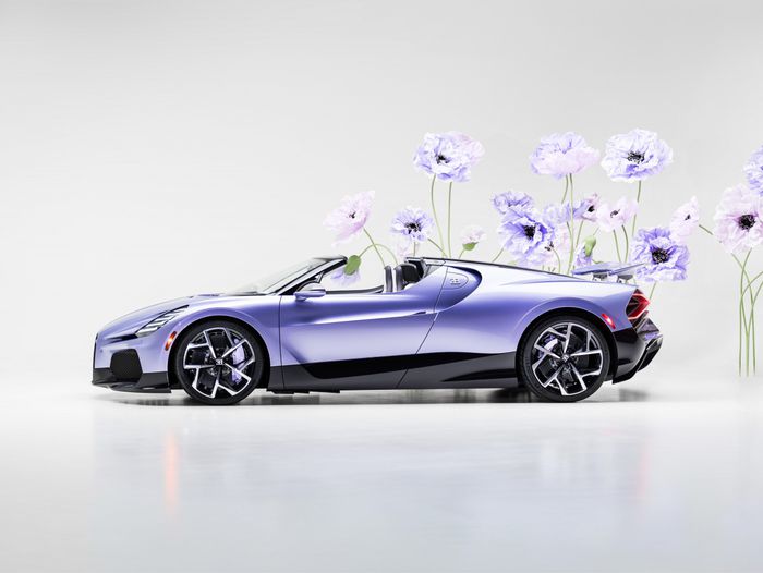 Côtés de la Bugatti W16 Lavender