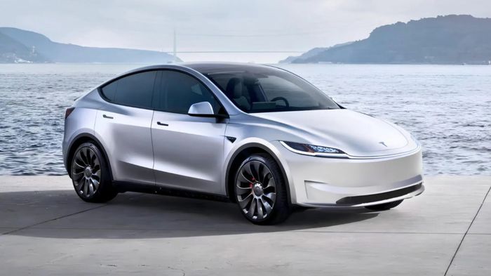 Model Y