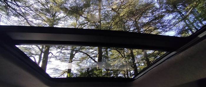 Le grand toit ouvrant du Bigster